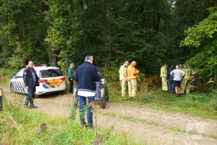 Paard schrikt en vliegt met kar over de kop
