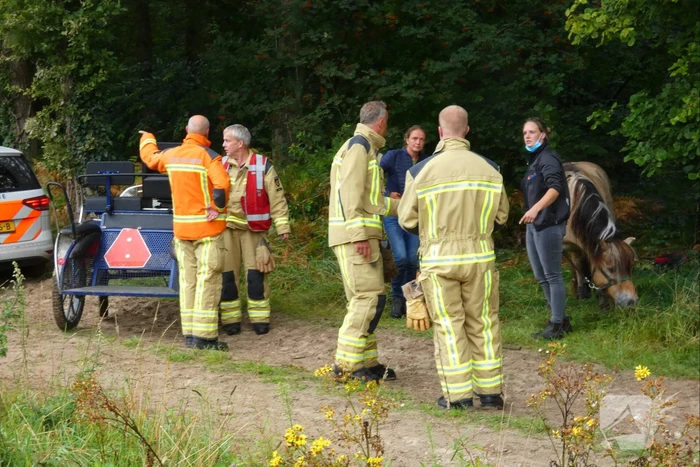 Paard schrikt en vliegt met kar over de kop