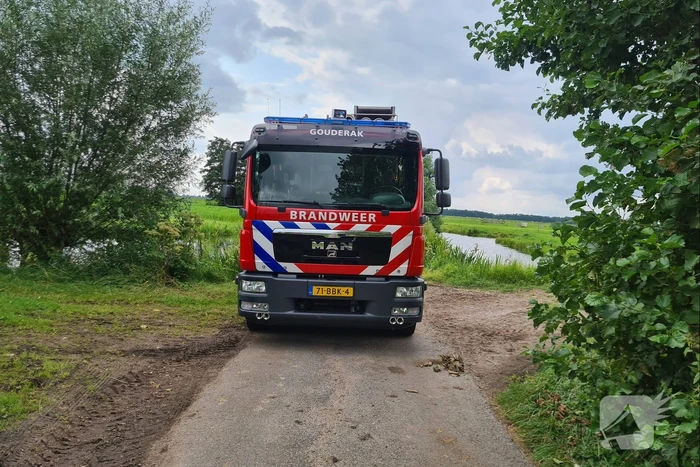 Brandweer bevrijdt koe uit sloot
