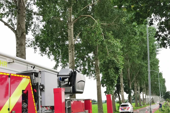 Brandweer verwijdert gevaarlijk hangende tak