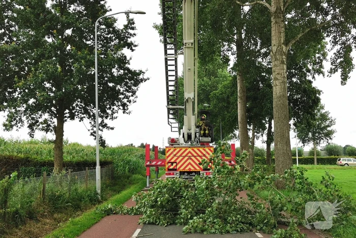 Brandweer verwijdert gevaarlijk hangende tak