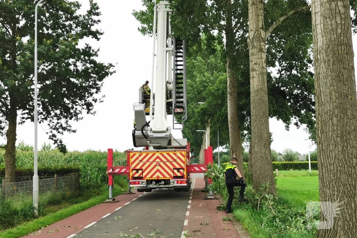 Brandweer verwijdert gevaarlijk hangende tak