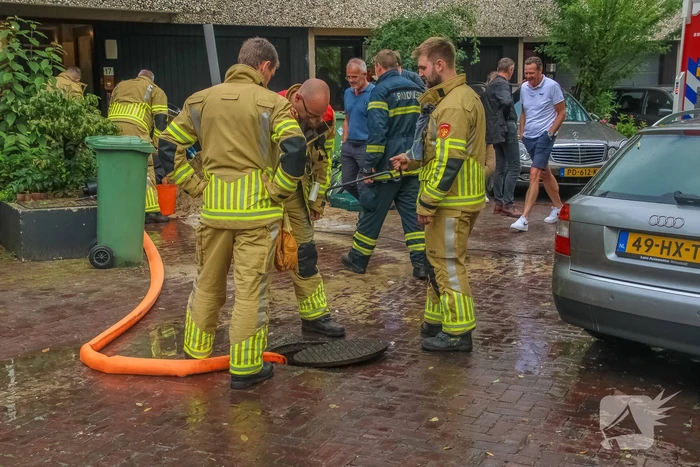 nieuws ardennen leusden