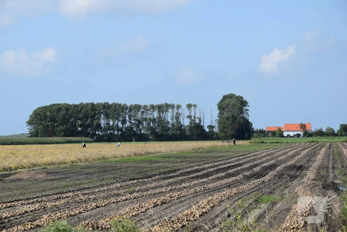 Jager gewond bij schietpartij