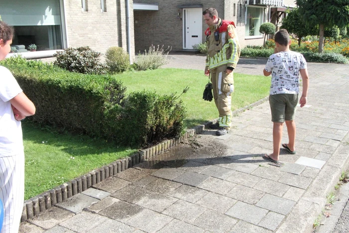 Jongeman 11-jaar blust brand in struiken na onkruid weg branden