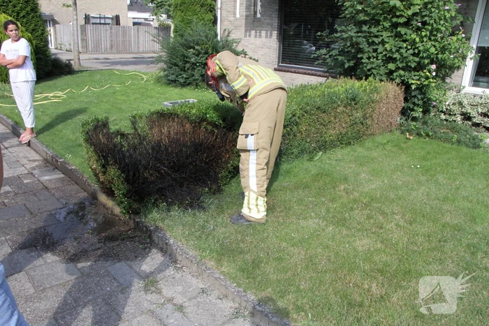 Jongeman 11-jaar blust brand in struiken na onkruid weg branden