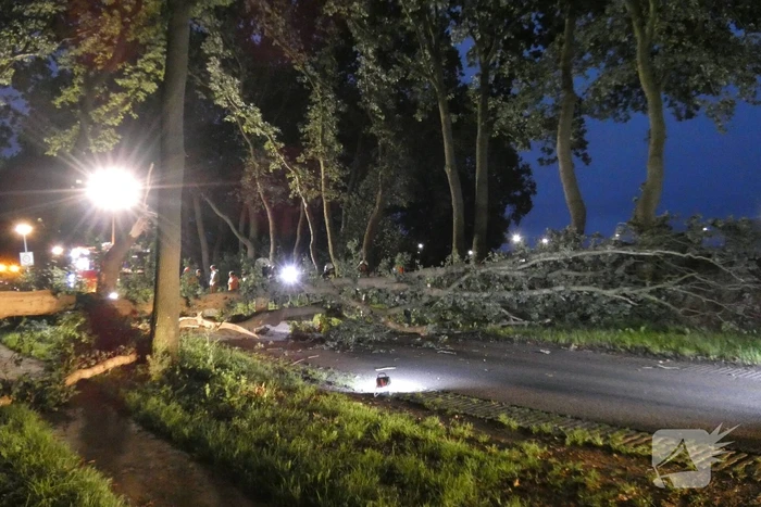 nieuws ossebroeken beilen