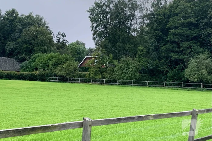 Schoorsteenbrand blijkt vogelnest
