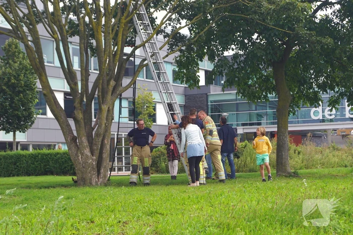 Brandweer haalt kind uit de boom