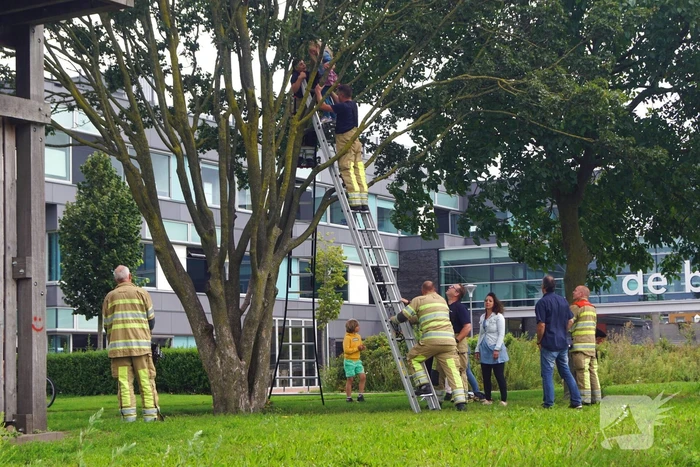 Brandweer haalt kind uit de boom