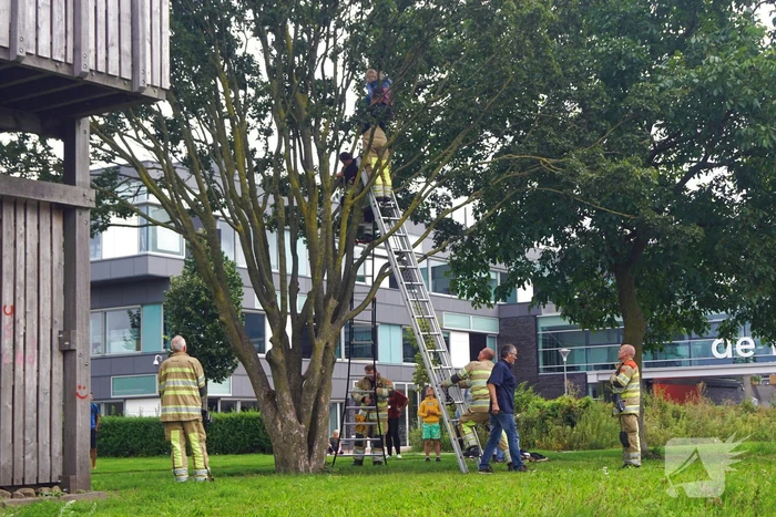Brandweer haalt kind uit de boom