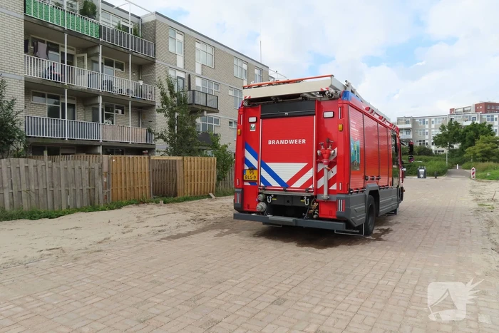 Kussens tuinset vatten vlam
