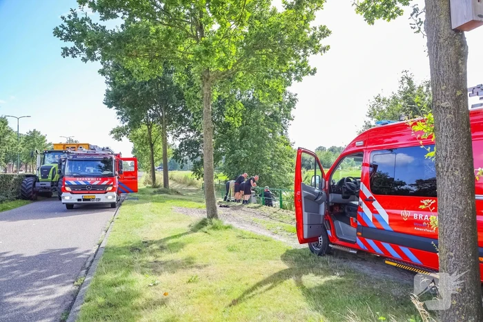 Zwaan vast in rooster in Male Wetering onder wegdek