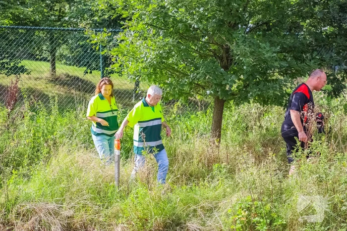 Zwaan vast in rooster in Male Wetering onder wegdek