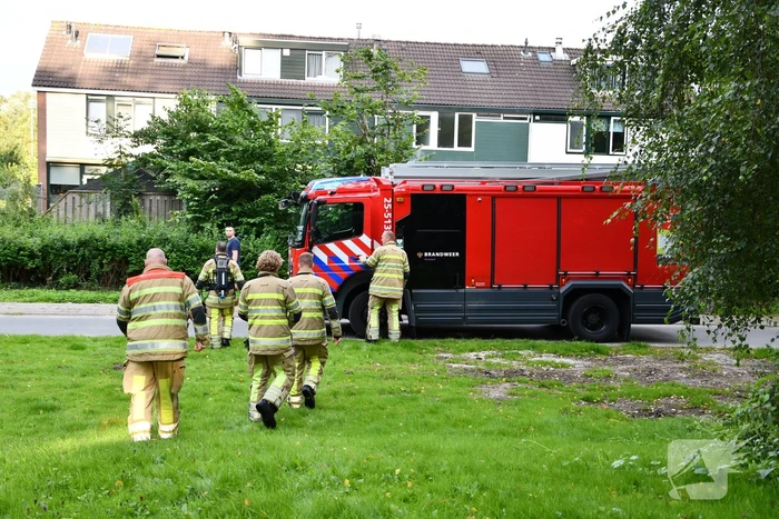 Brandweer blust brandende boom met emmers water