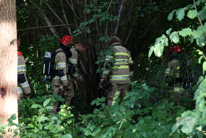 Brandweer blust brandende boom met emmers water