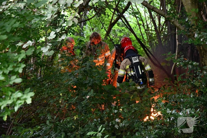 Brandweer blust brandende boom met emmers water