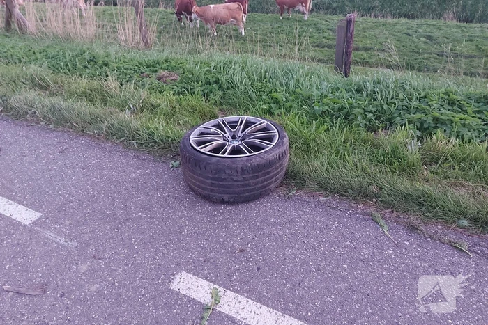 Bestuurder verliest macht over het stuur en botst tegen boom