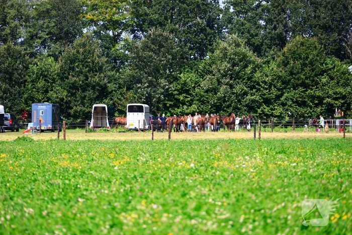 Traumahelikopter landt voor incident op kampeerboerderij