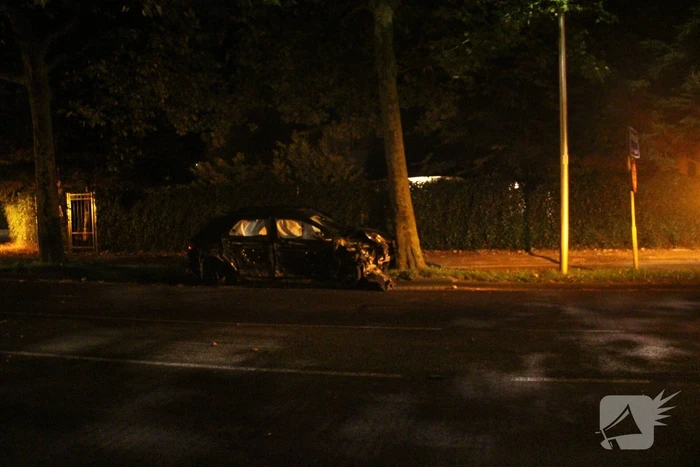 Bestuurder gewond door botsing tegen boom