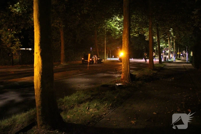 Bestuurder gewond door botsing tegen boom