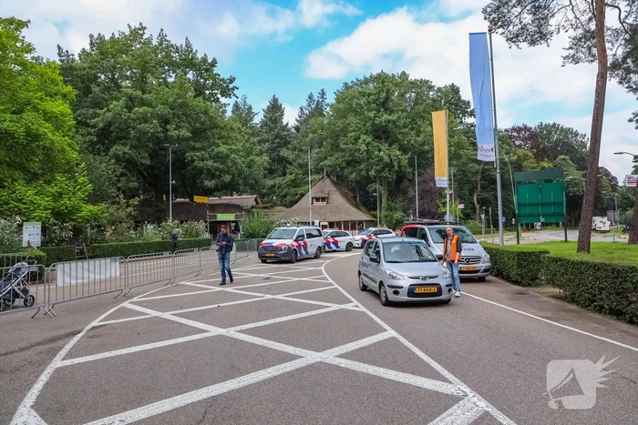 Twee wolven in Dierenpark Amersfoort ontsnapt uit hun verblijf