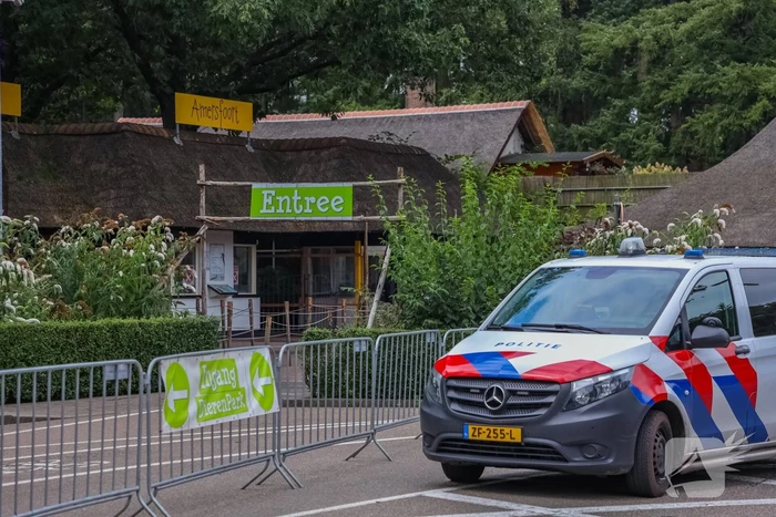 Twee wolven in Dierenpark Amersfoort ontsnapt uit hun verblijf