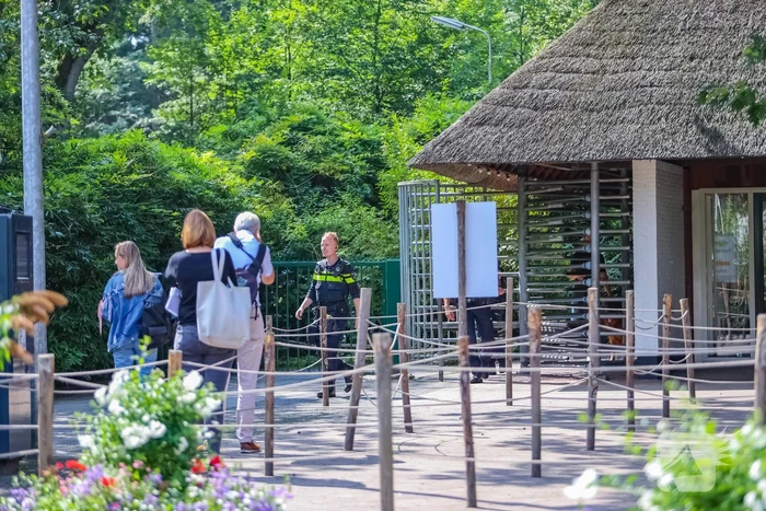 Twee wolven in Dierenpark Amersfoort ontsnapt uit hun verblijf