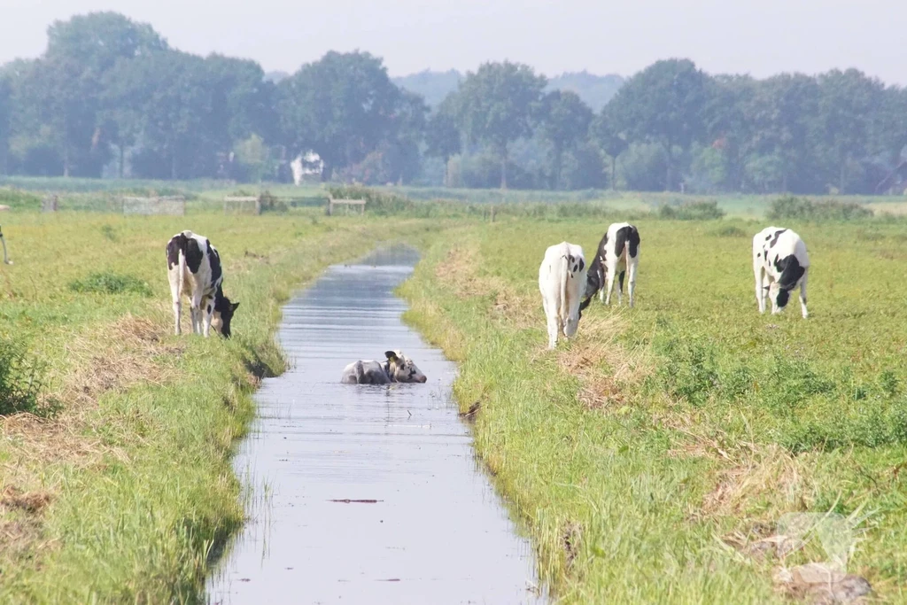 Zomerdijk Eemnes 112 
