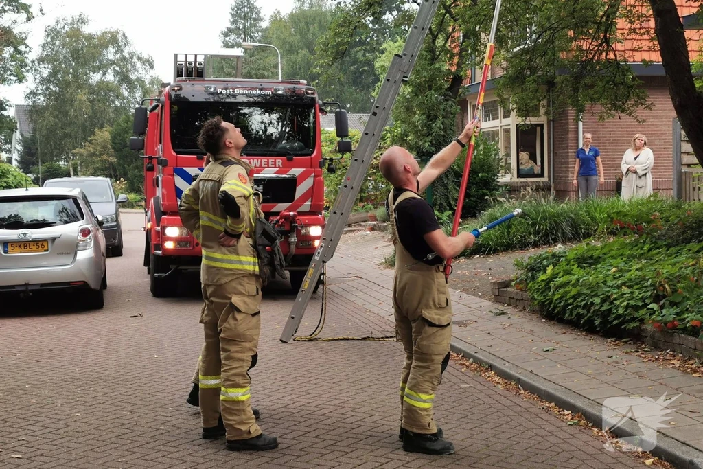Bosweg Nieuws Bennekom 