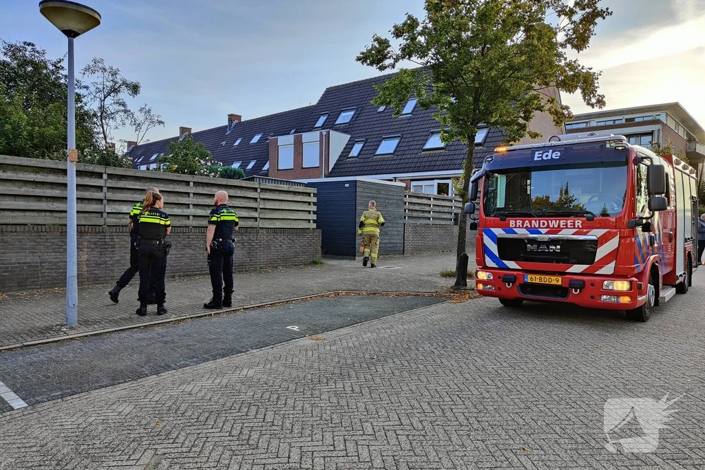 Ede