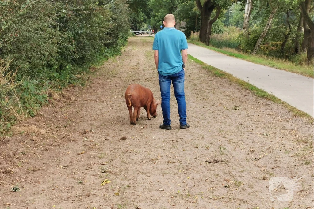 Langekampweg 112 meldingen Ede 