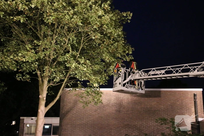 Duif met visdraad om poot gered uit boom