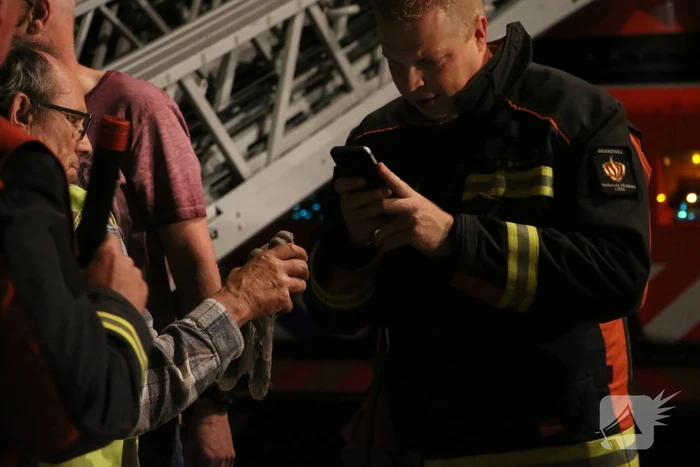 Duif met visdraad om poot gered uit boom