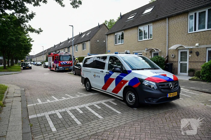 nieuws vloedlijn hoogvliet rotterdam