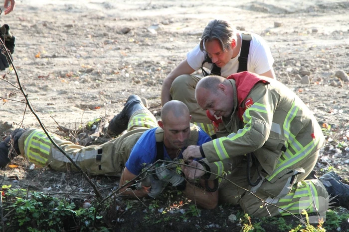 Brandweer redt eend in problemen