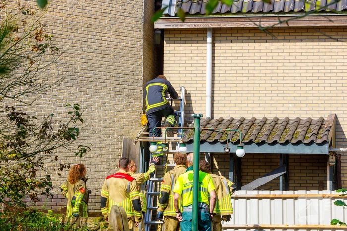 Kat twee dagen vast tussen spouwmuren