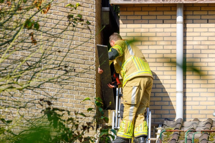 Kat twee dagen vast tussen spouwmuren