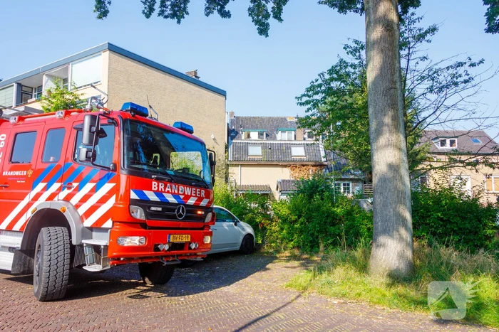 Kat twee dagen vast tussen spouwmuren