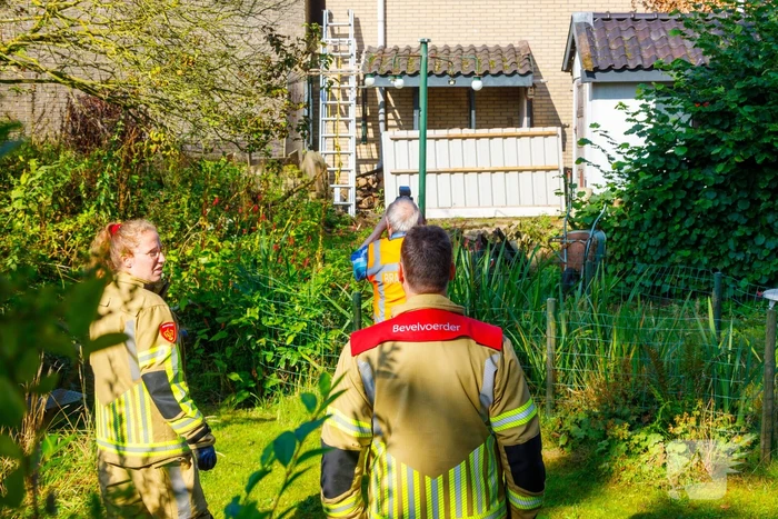 Kat twee dagen vast tussen spouwmuren