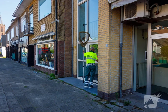 Kat twee dagen vast tussen spouwmuren