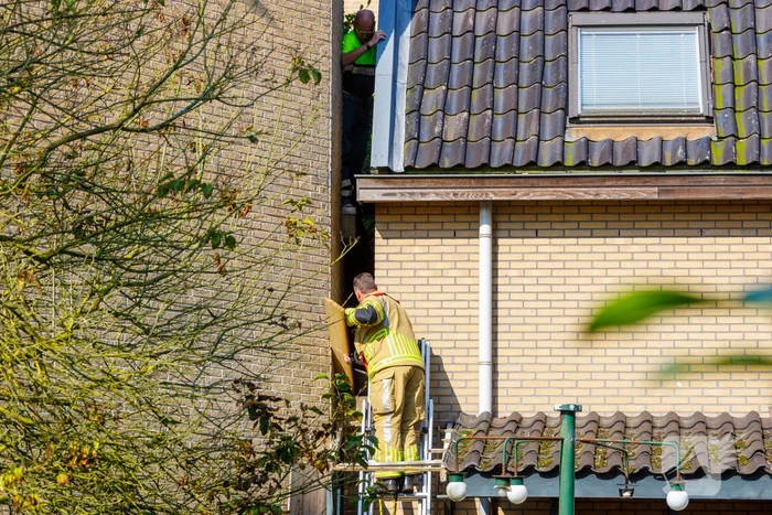 Kat twee dagen vast tussen spouwmuren