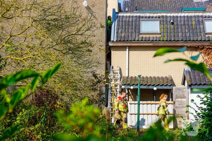 Kat twee dagen vast tussen spouwmuren