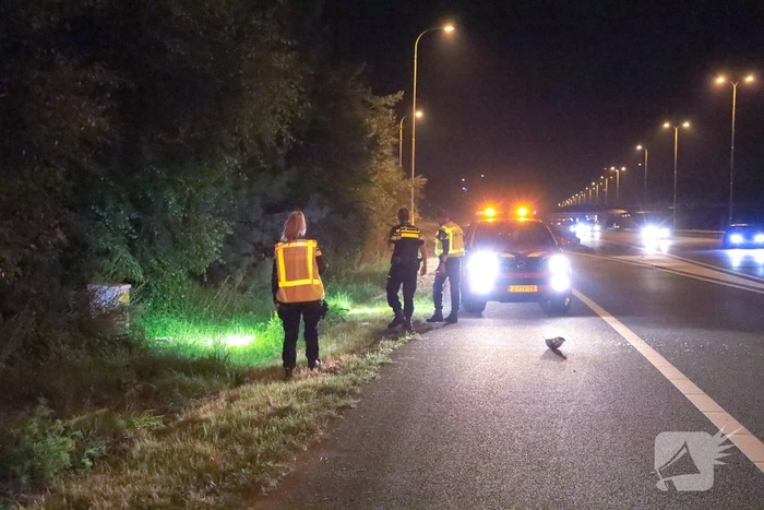 Bestuurster verliest macht over het stuur en komt tot stilstand in struiken