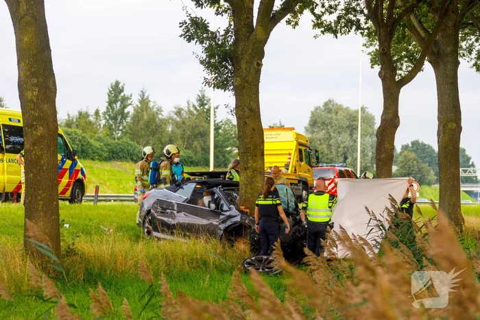 Auto knalt op boom, bestuurder overleden