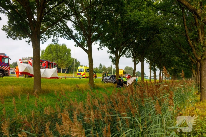 Auto knalt op boom, bestuurder overleden