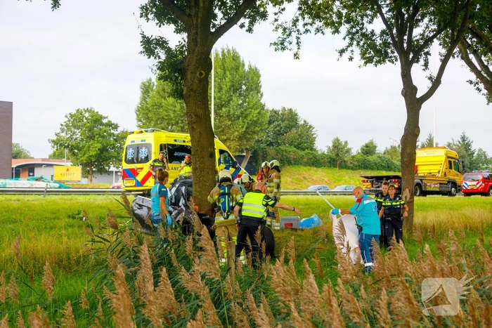Auto knalt op boom, bestuurder overleden
