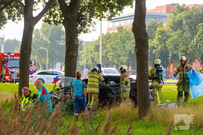 Auto knalt op boom, bestuurder overleden