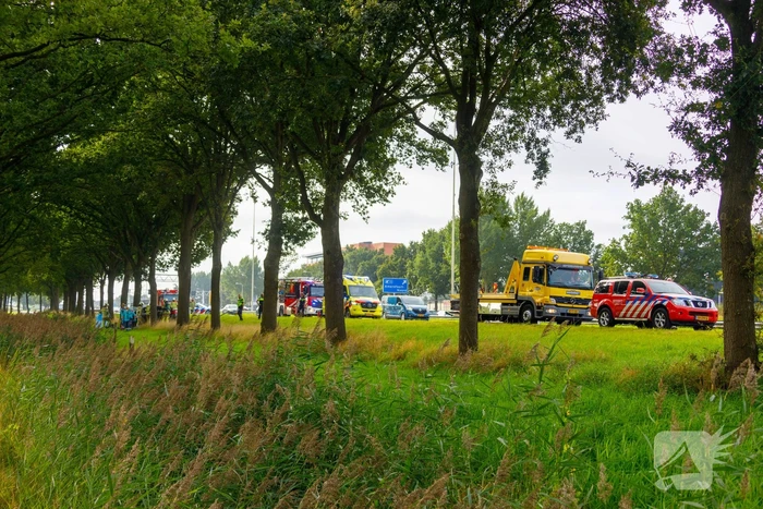 Auto knalt op boom, bestuurder overleden