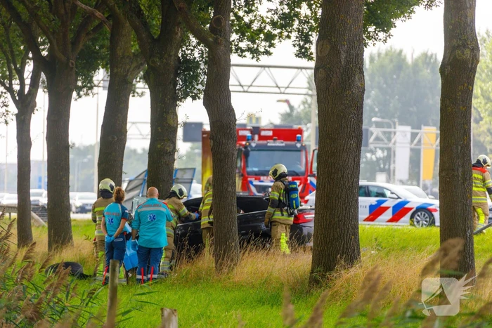 Auto knalt op boom, bestuurder overleden